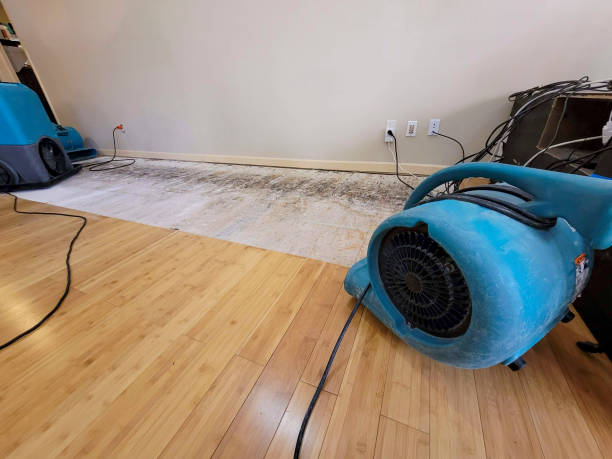 Professional Water Damage Repair technician working in Damascus, OR